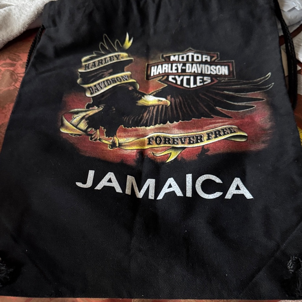 Harley-Davidson Black and Gold Drawstring Backpack